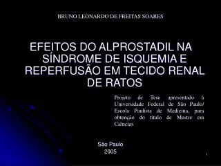 bruno leonardo de freitas soares