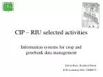 Information Systems for Crop and Genebank Data Management at CIP: Tools and Workflow Integration - slide 1