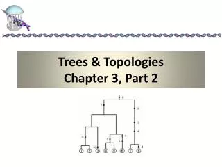 Trees &amp; Topologies Chapter 3, Part 2