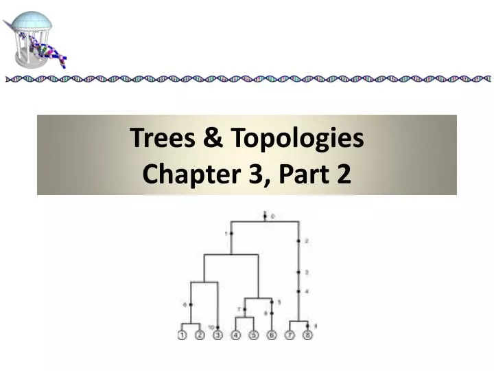 trees topologies chapter 3 part 2