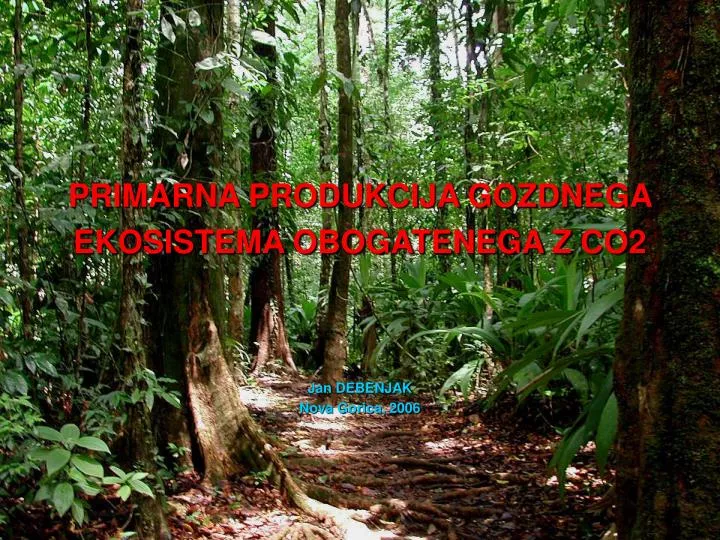 primarna produkcija gozdnega ekosistema obogatenega z co2
