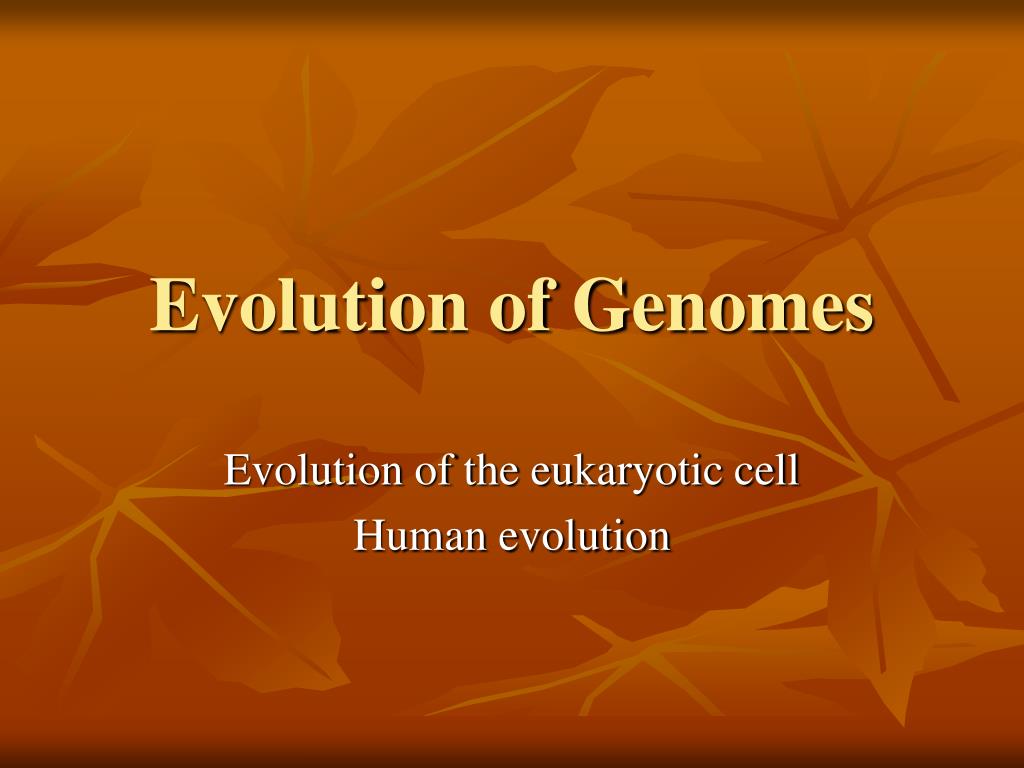 PPT - Evolution of Genomes PowerPoint Presentation, free download - ID ...