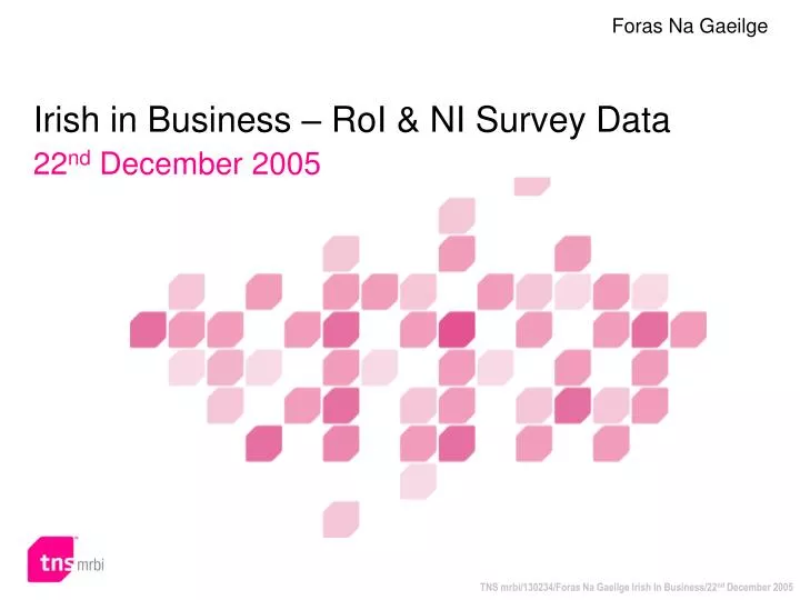 irish in business roi ni survey data