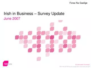 irish in business survey update