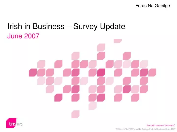 irish in business survey update