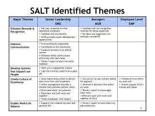 SALT Identified Themes