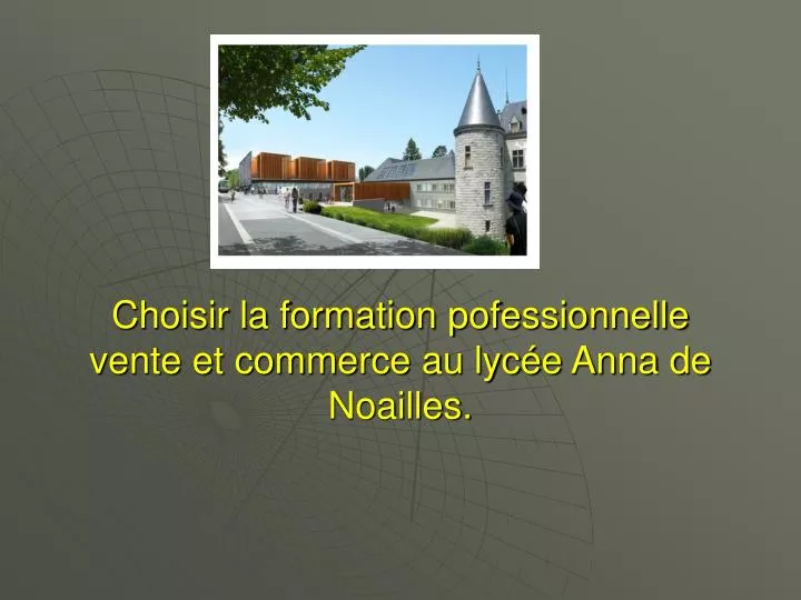 choisir la formation pofessionnelle vente et commerce au lyc e anna de noailles