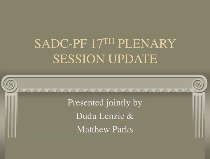 sadc pf 17 th plenary session update