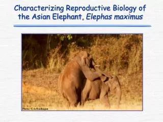 Characterizing Reproductive Biology of the Asian Elephant, Elephas maximus