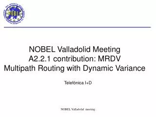 NOBEL Valladolid Meeting A2.2.1 contribution: MRDV Multipath Routing with Dynamic Variance