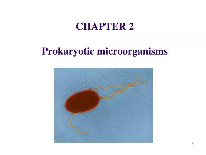 chapter 2 prokaryotic microorganisms