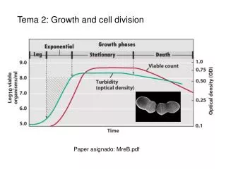 Tema 2: Growth and cell division