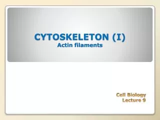 CYTOSKELETON (I) Actin filaments