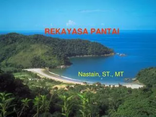 rekayasa pantai