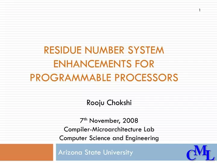 residue number system enhancements for programmable processors