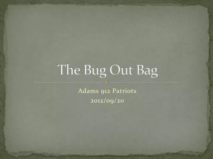 the bug out bag