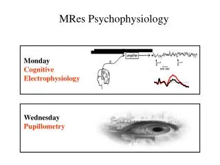 Monday Cognitive Electrophysiology