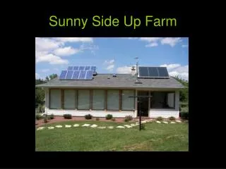Sunny Side Up Farm