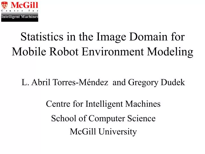 statistics in the image domain for mobile robot environment modeling