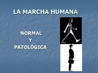 la marcha humana