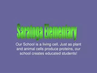 Saratoga Elementary