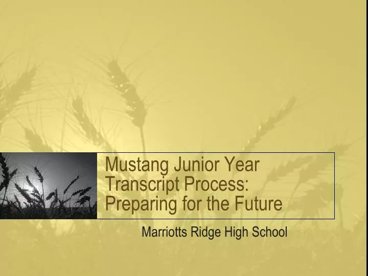 mustang junior year transcript process preparing for the future