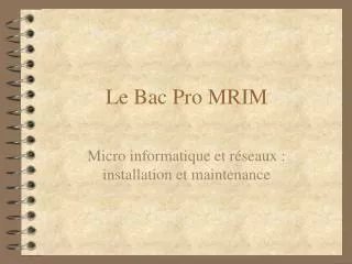 le bac pro mrim