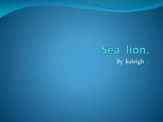 Sea lion.