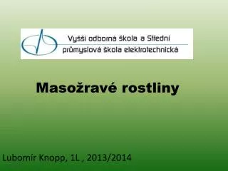 maso rav rostliny