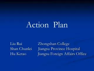 action plan