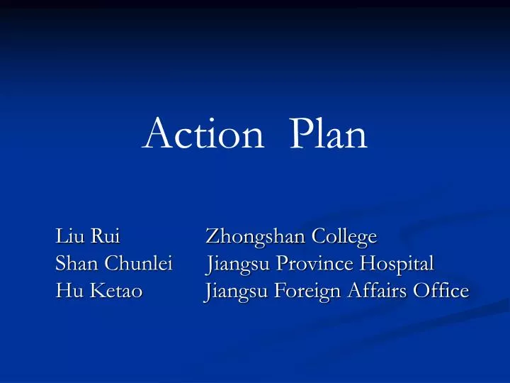 action plan