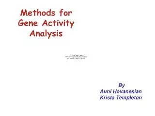 Methods for Gene Activity Analysis
