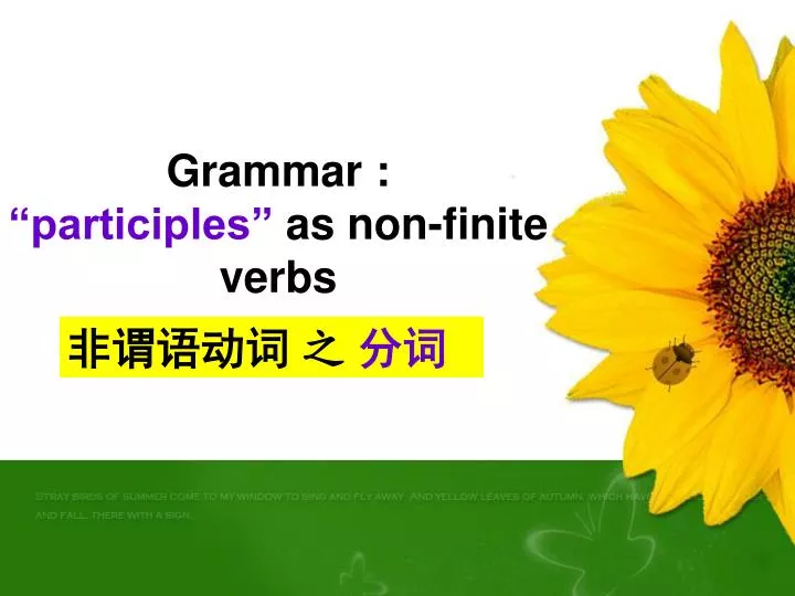 grammar participles as non finite verbs