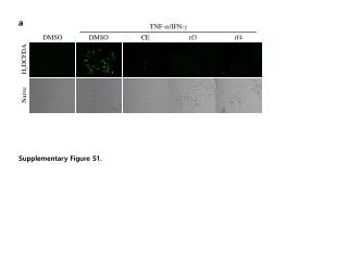 Supplementary Figure S1.