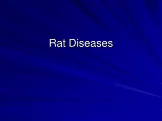 Rat Diseases