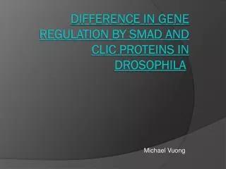 Difference in Gene Regulation by Smad and CLIC proteins in Drosophila