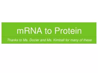 mRNA to Protein