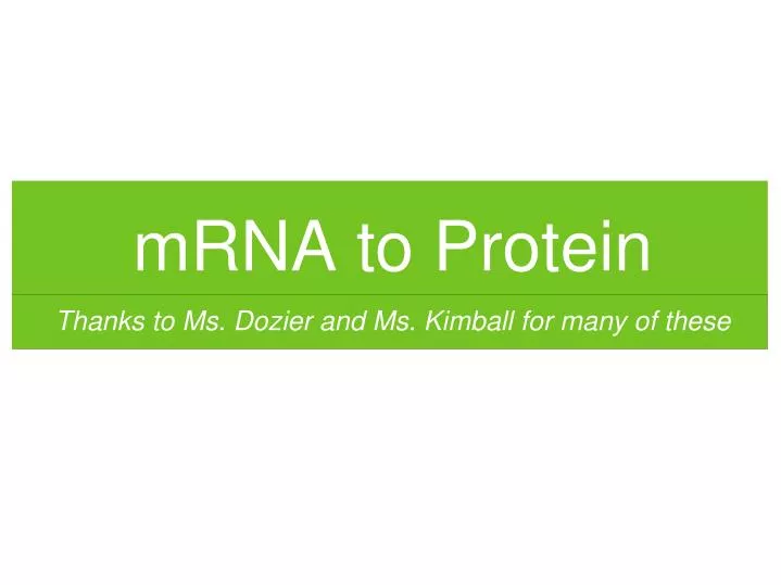 mrna to protein