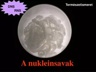 a nukleinsavak