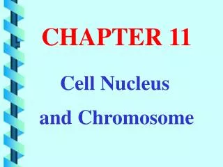 chapter 11