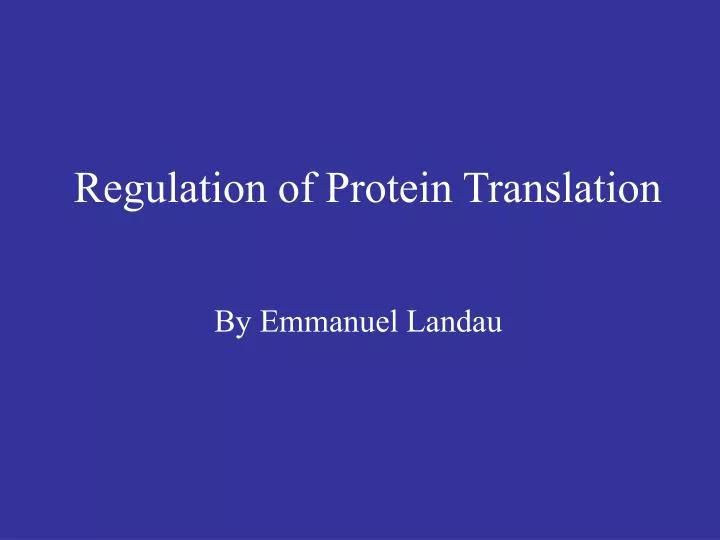regulation of protein translation