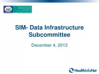 SIM- Data Infrastructure Subcommittee