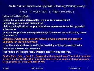 STAR Future Physics and Upgrades Planning Working Group