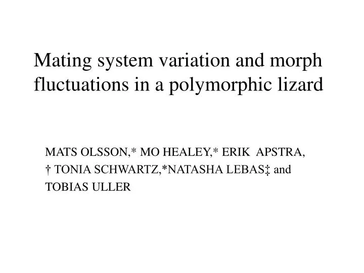mating system variation and morph fluctuations in a polymorphic lizard