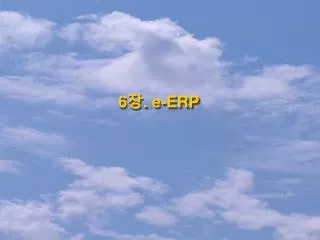 6 e erp