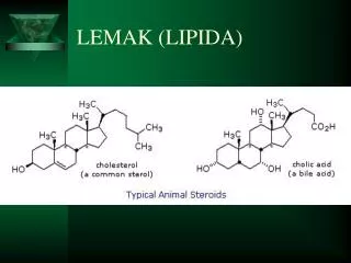 lemak lipida