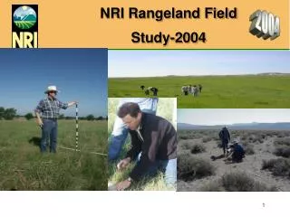 NRI Rangeland Field Study-2004