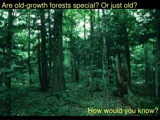 Are old-growth forests special? Or just old?