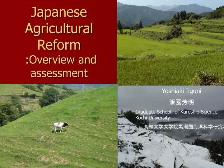 japanese agricultural reform overview and assessment