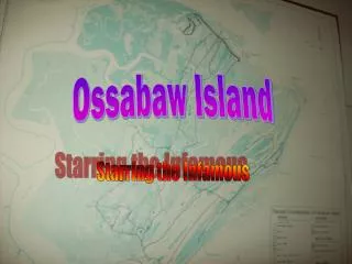 Ossabaw Island